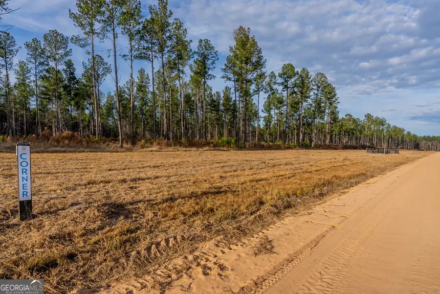 LOT 3 Arcola Road, Brooklet, GA 30415 - Image #2