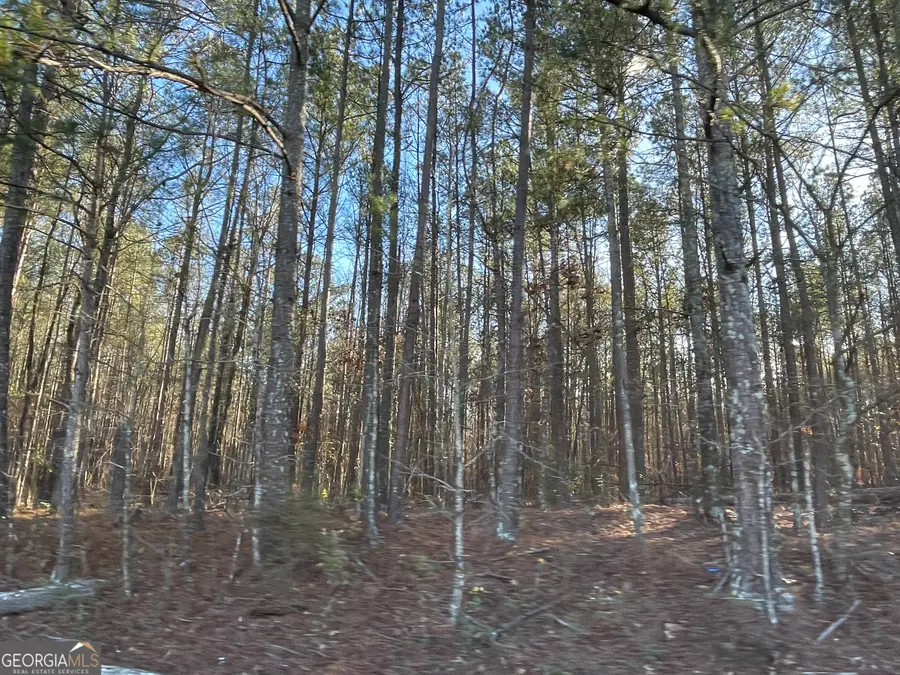 13 AC S Highway 81, Covington, GA 30016 - Image #3