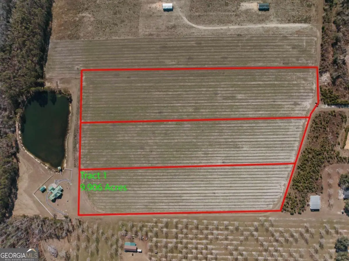 0 Tract 3 Lake Mayers Road, Baxley, GA 31513 - Image #1