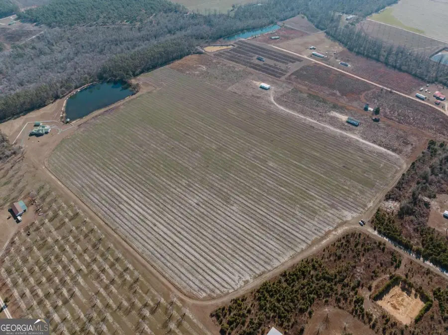 0 Tract 3 Lake Mayers Road, Baxley, GA 31513 - Image #2