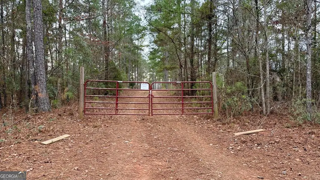 0 S Porter Road, Shiloh, GA 31826 - Image #1