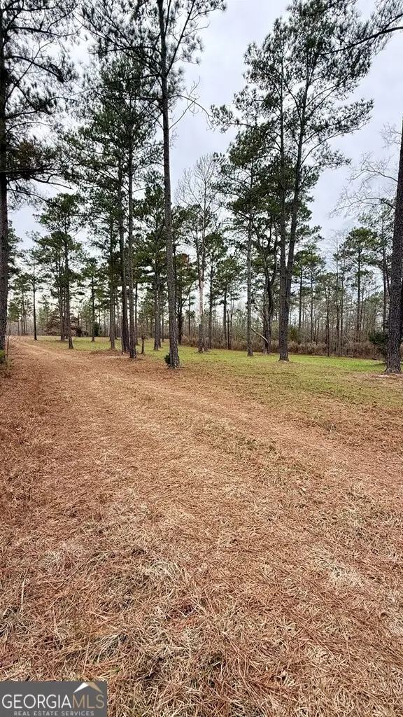 0 S Porter Road, Shiloh, GA 31826 - Image #3