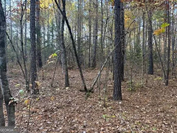 0 Brown Creek Road, Shiloh, GA 31826