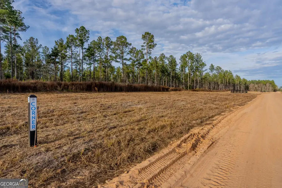 LOT 4 Arcola Road, Brooklet, GA 30415 - Image #2