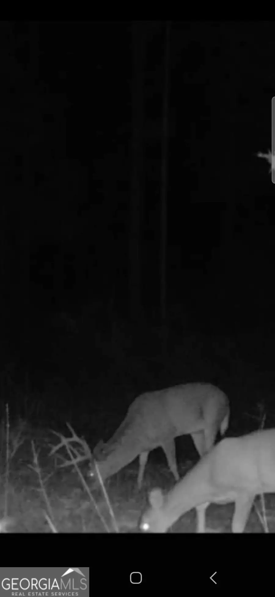 0 Martin Mill Road, Eatonton, GA 31024 - Image #3