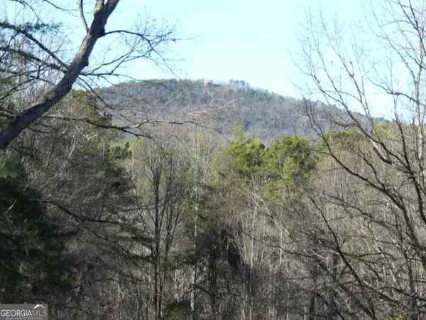 225 Hilltop Ln, Clarkesville, GA 30523