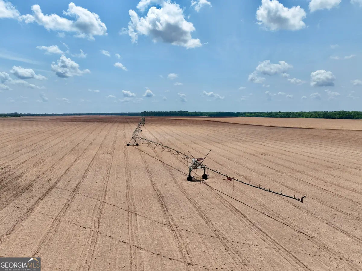 89 Griffin Road, Hawkinsville, GA 31036 - Image #1