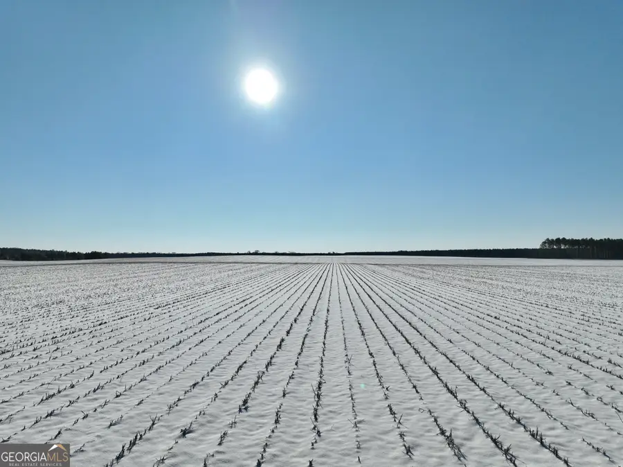 89 Griffin Road, Hawkinsville, GA 31036 - Image #2