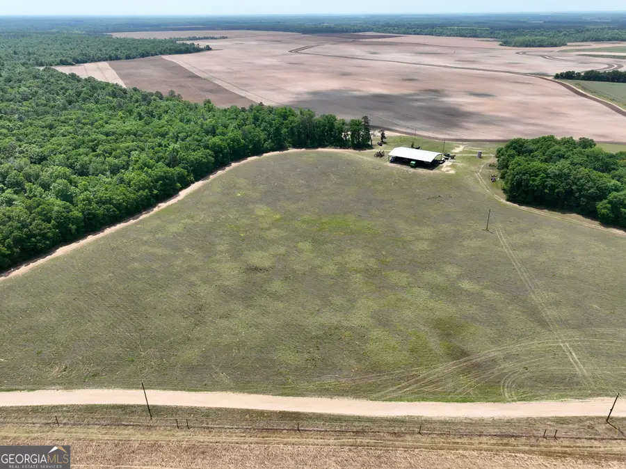 89 Griffin Road, Hawkinsville, GA 31036 - Image #3