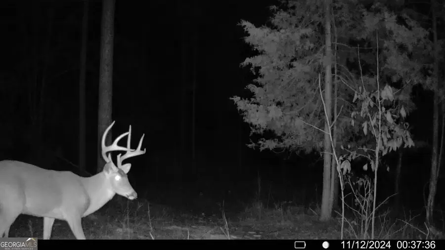 0 Martin Mill Road, Eatonton, GA 31024 - Image #2