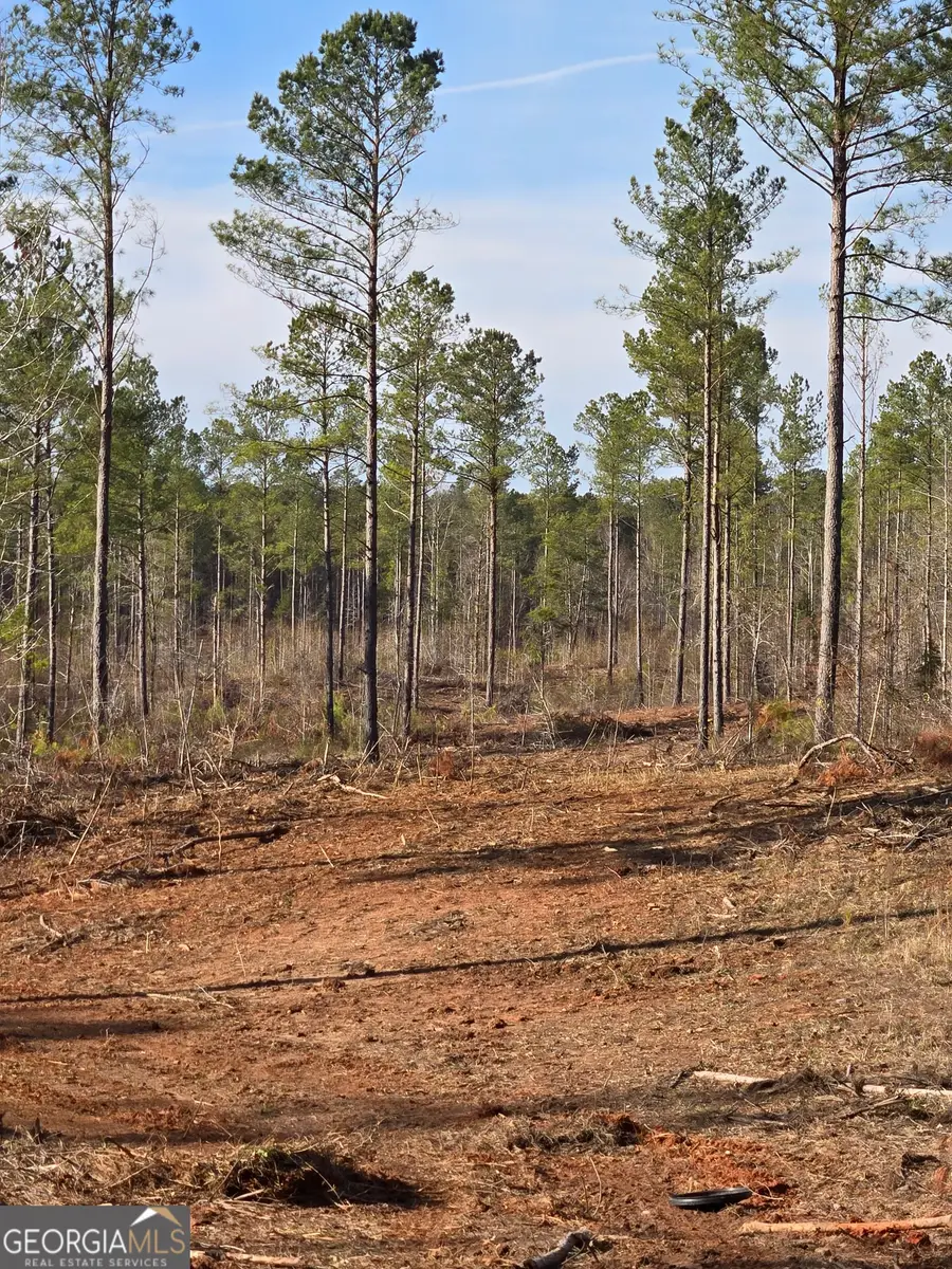 0 Martin Mill Road, Eatonton, GA 31024 - Image #3