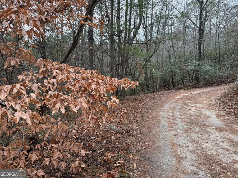 LOT 27 Ideal Acres, Otto, NC 28763 - Image #3