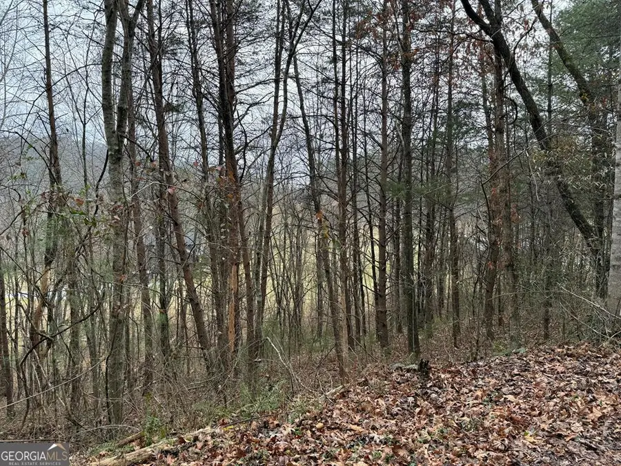 LOT 29 Ideal Acres Road, Otto, NC 28763 - #3