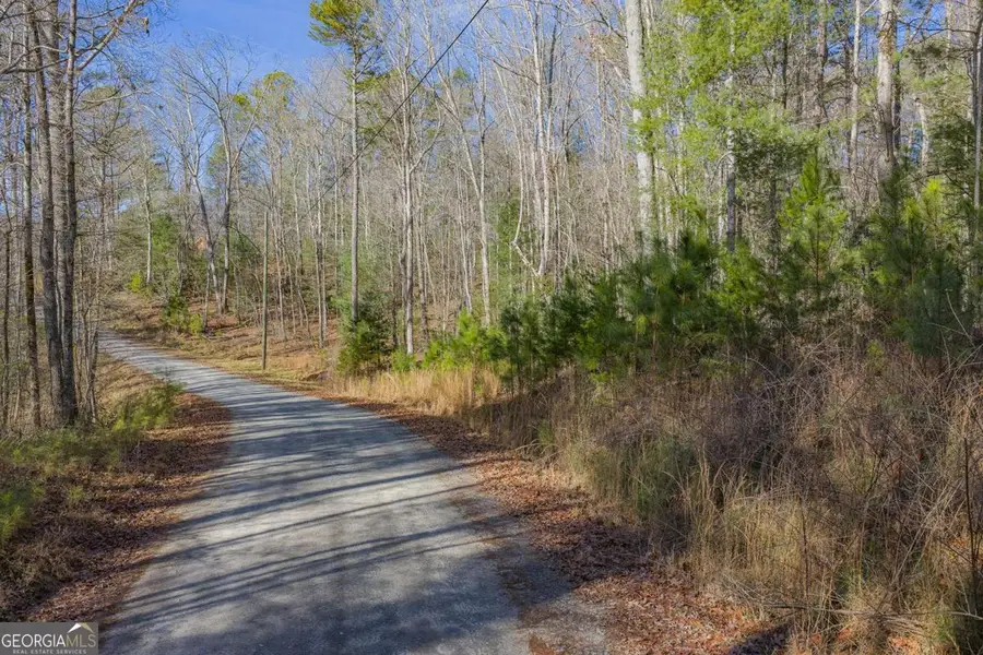 LOT 117 Jumper Drive, Ellijay, GA 30540 - #3
