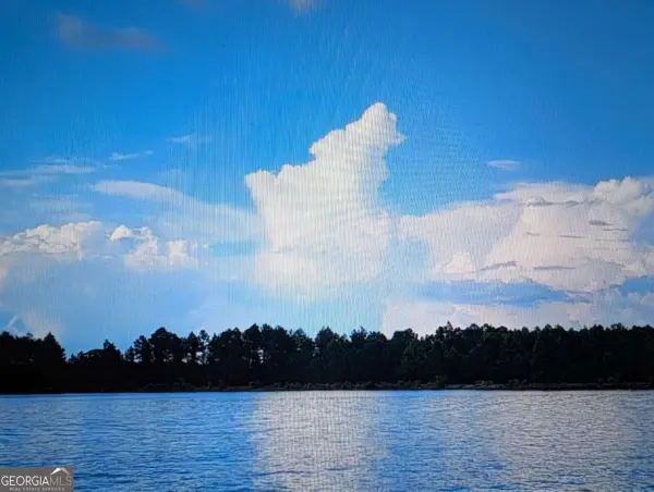 0 Jimmie Ree Lane, Bristol, GA 31518