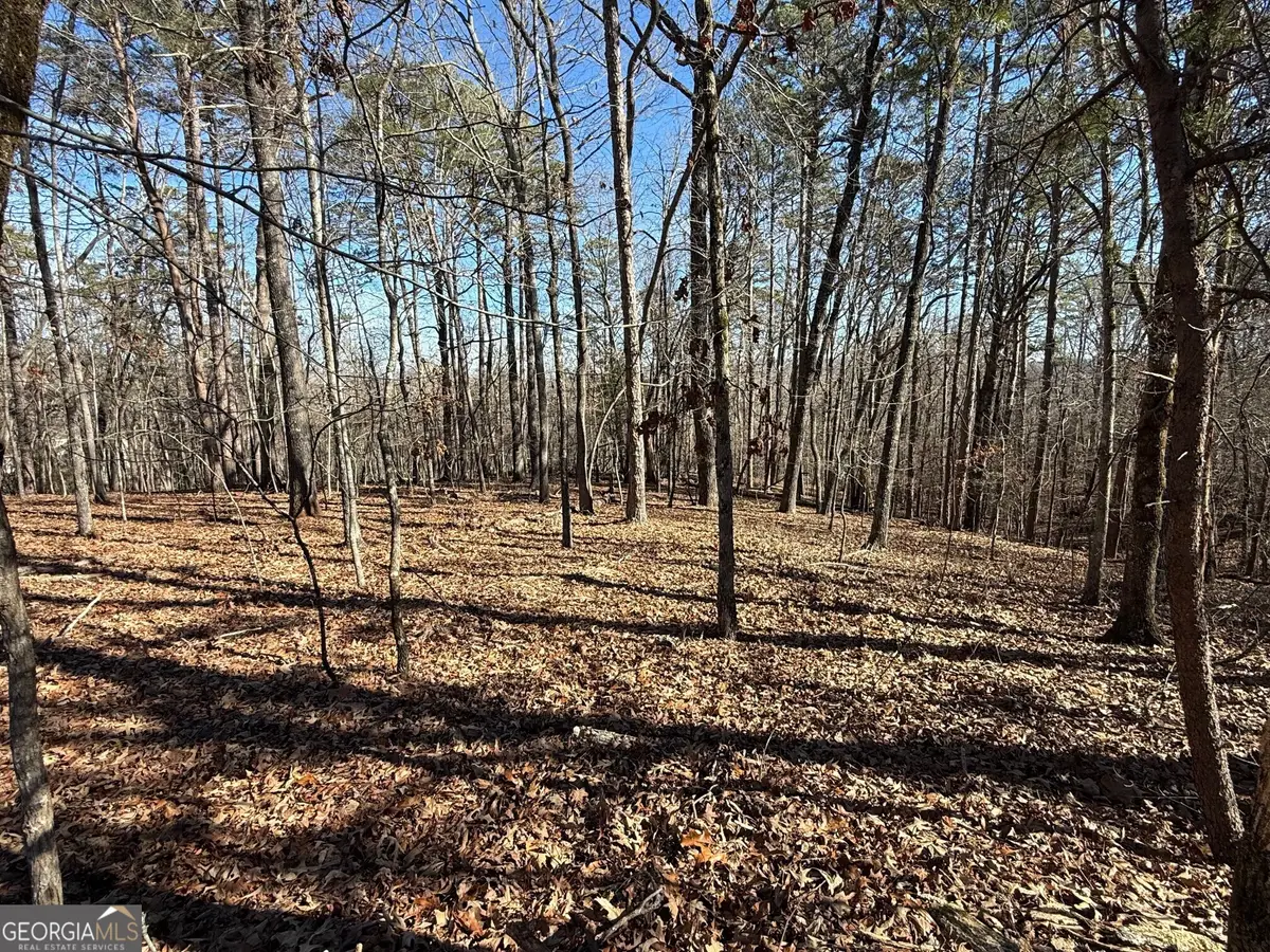 0 Grindle Bridge Road, Dahlonega, GA 30533 - Image #1