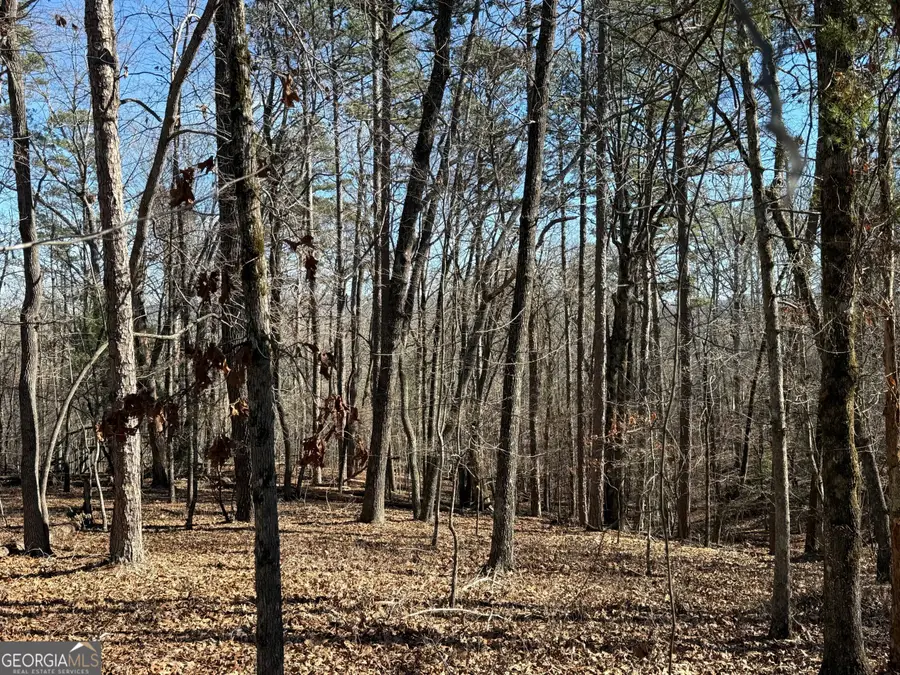 0 Grindle Bridge Road, Dahlonega, GA 30533 - Image #3