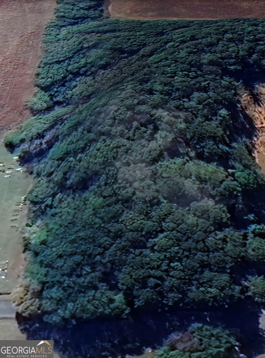 0 Wortham Road, Luthersville, GA 30251 - Image #2