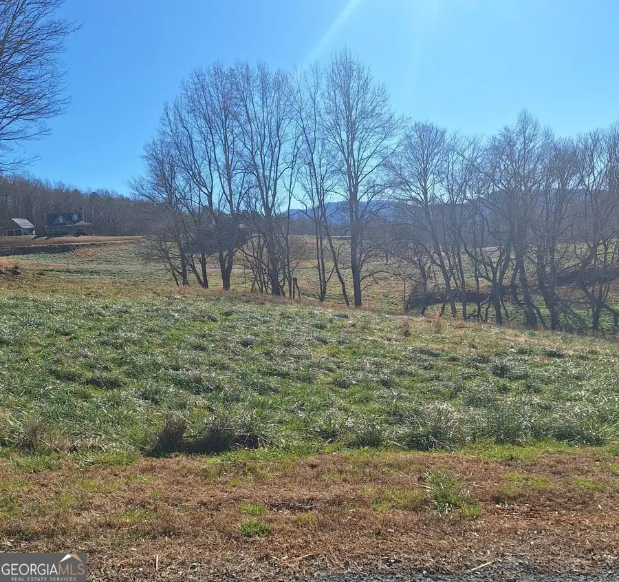 0 Big Valley Drive, Morganton, GA 30560 - Image #2