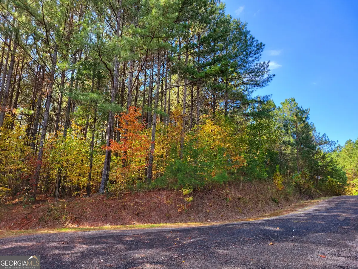 LOT 7 Ridge Top Drive #7, Ellijay, GA 30536 - Image #1