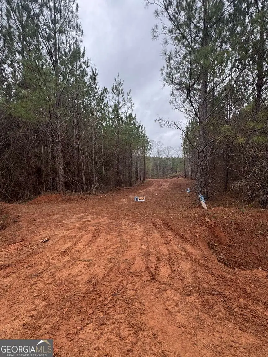 1455 Bethel Church Road, Luthersville, GA 30251 - Image #2