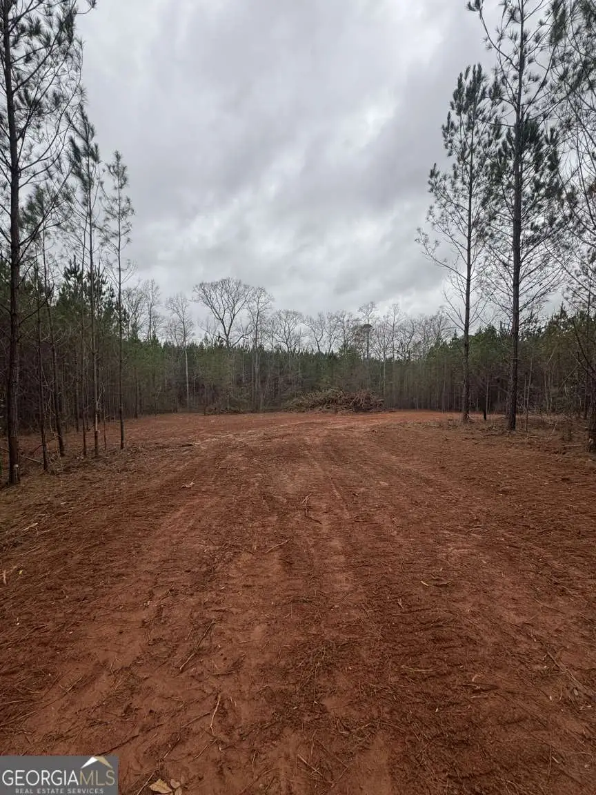 1455 Bethel Church Road, Luthersville, GA 30251 - Image #3