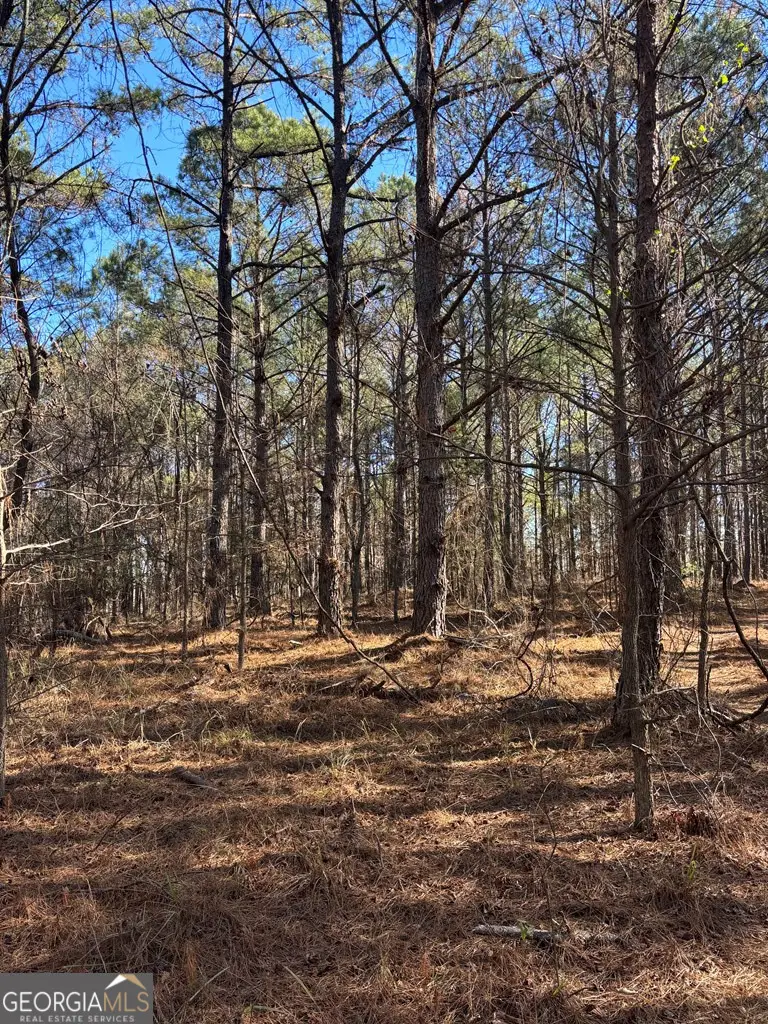 00 Geneva Highway, Talbotton, GA 31827 - Image #2