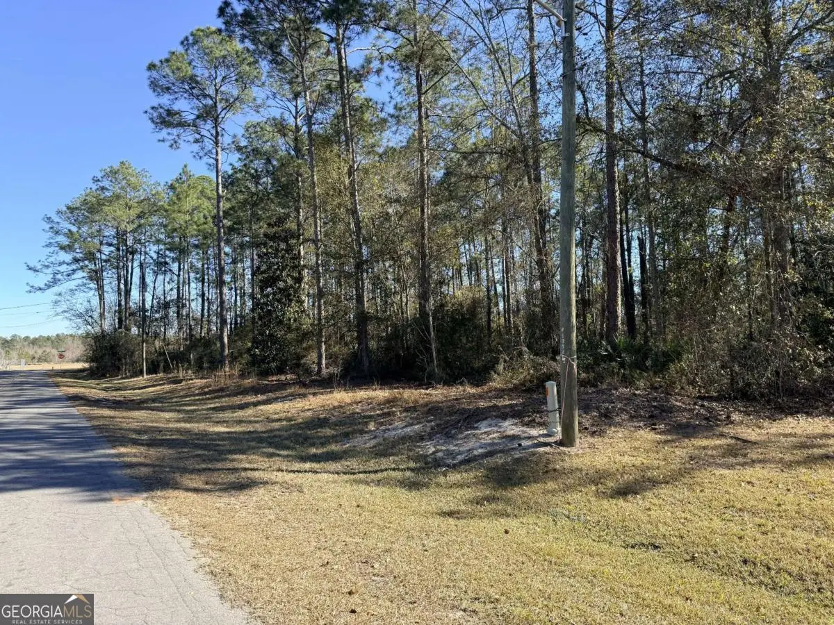 414 Pendleton Street, Baxley, GA 31513 - Image #1