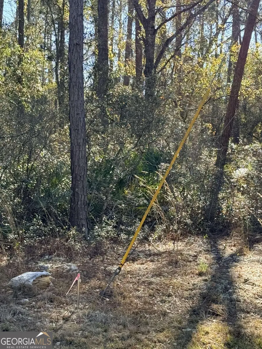 414 Pendleton Street, Baxley, GA 31513 - Image #3