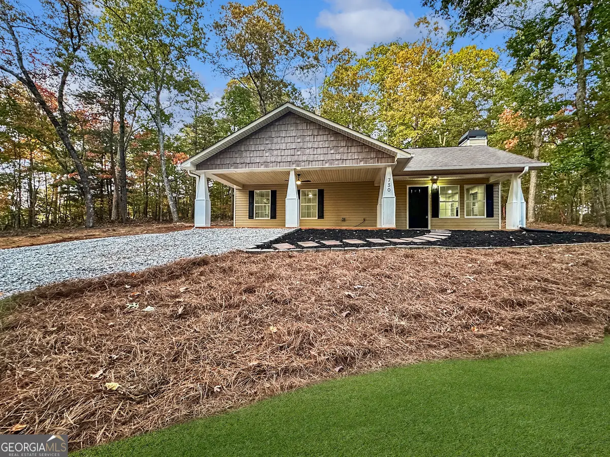730 Carrie Cove Lane, Clarkesville, GA 30523 - #1