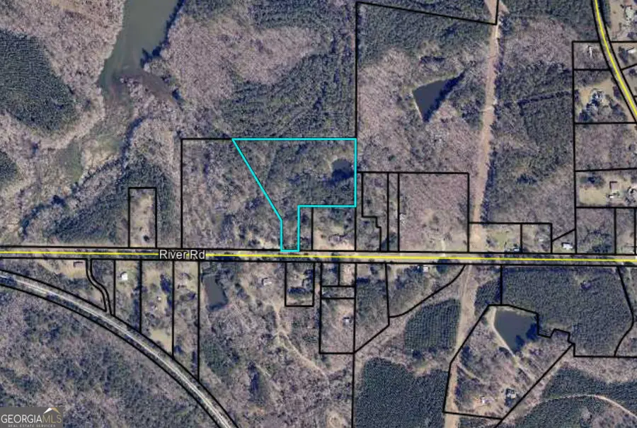 0 River Road, Warm Springs, GA 31830 - Image #2