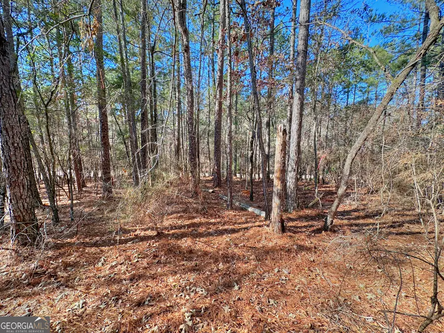 0 Salem Lot 3 Road #LOT 3, Pine Mountain, GA 31822 - Image #2