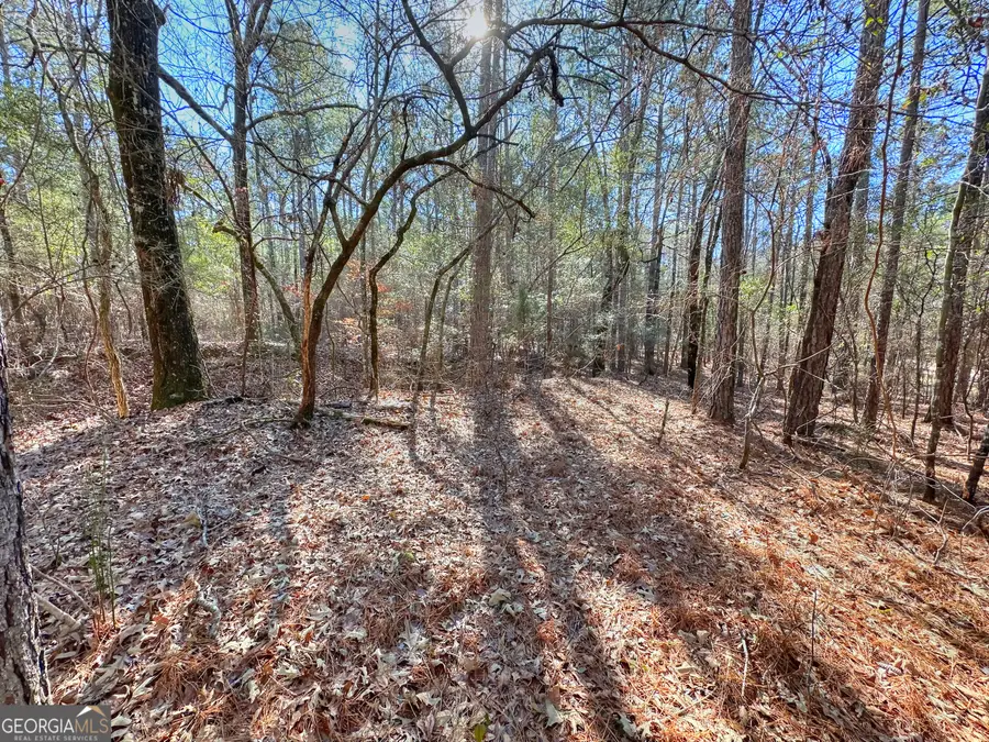 0 Salem Lot 3 Road #LOT 3, Pine Mountain, GA 31822 - Image #3