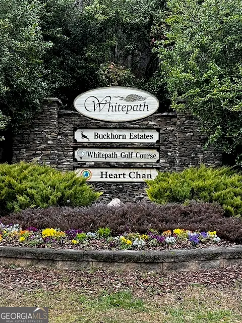 LOT 156 Etowah Drive, Ellijay, GA 30540 - Image #1