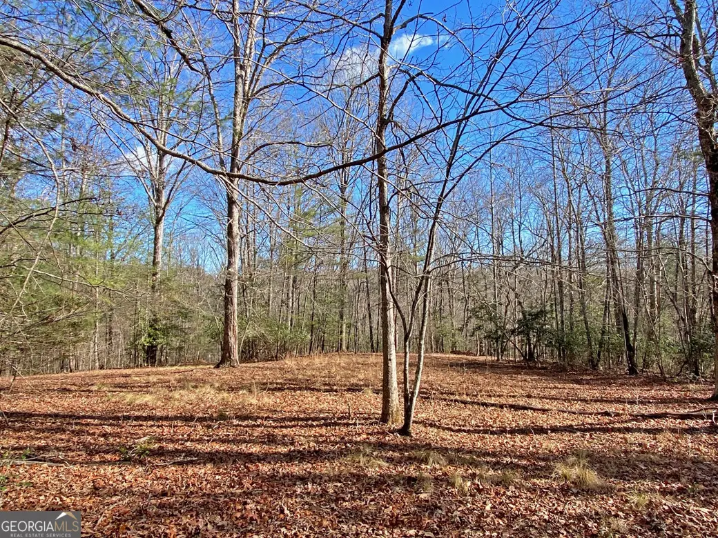 17.8AC Frogtown Road, Dahlonega, GA 30533 - Image #1