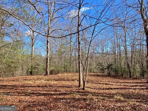 17.8AC Frogtown Road, Dahlonega, GA 30533