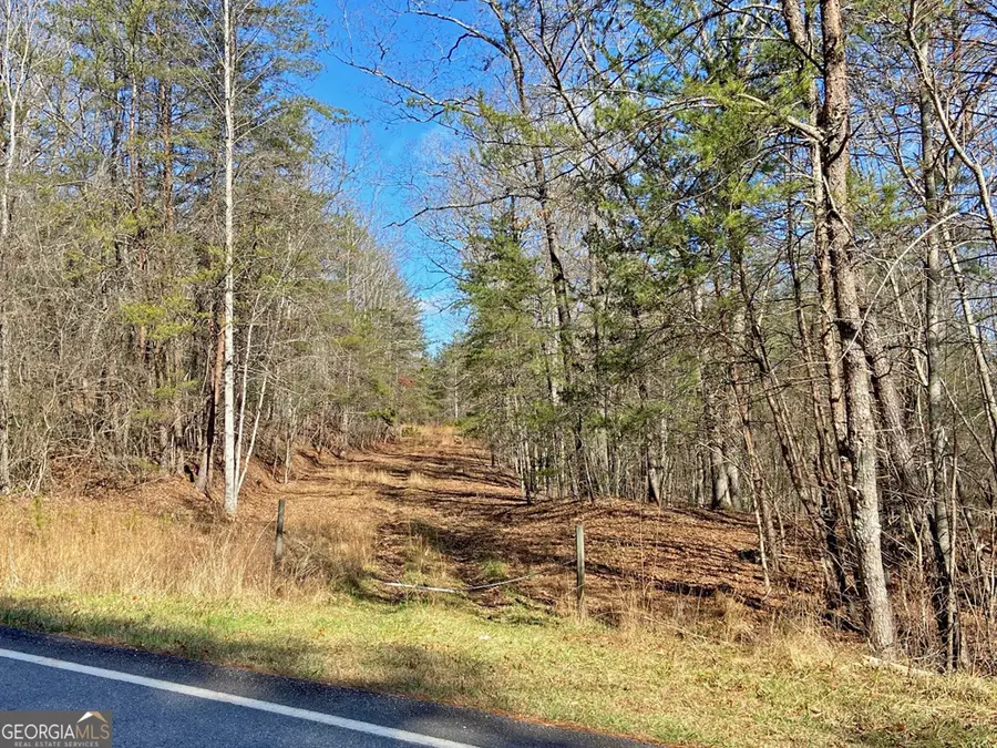 17.8AC Frogtown Road, Dahlonega, GA 30533 - Image #3