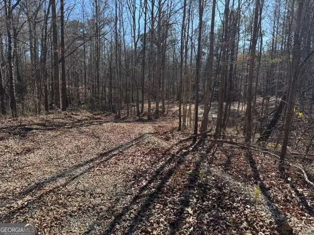 727 Central High Road, Carrollton, GA 30116 - Image #2