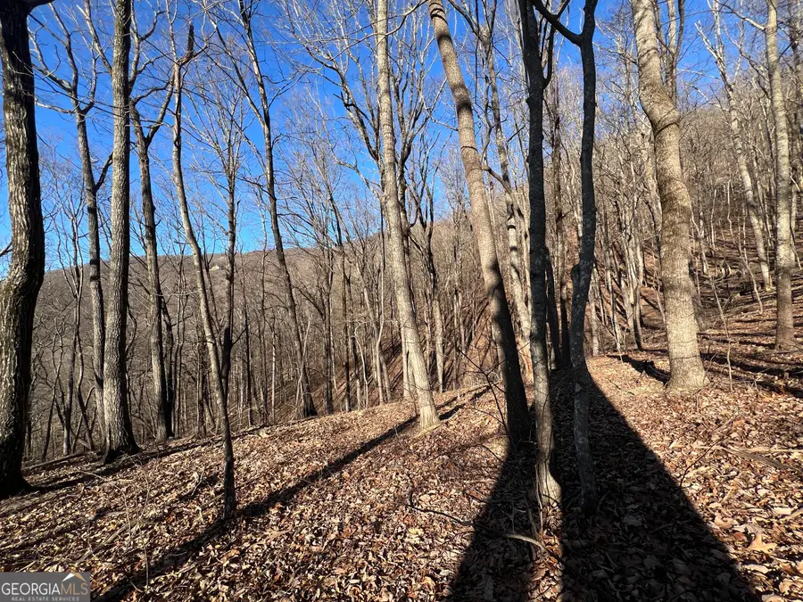 245 Sassafras Mountain Trail, Jasper, GA 30143 - Image #3