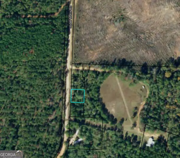 99 Night Shift Road, Morris, GA 39867