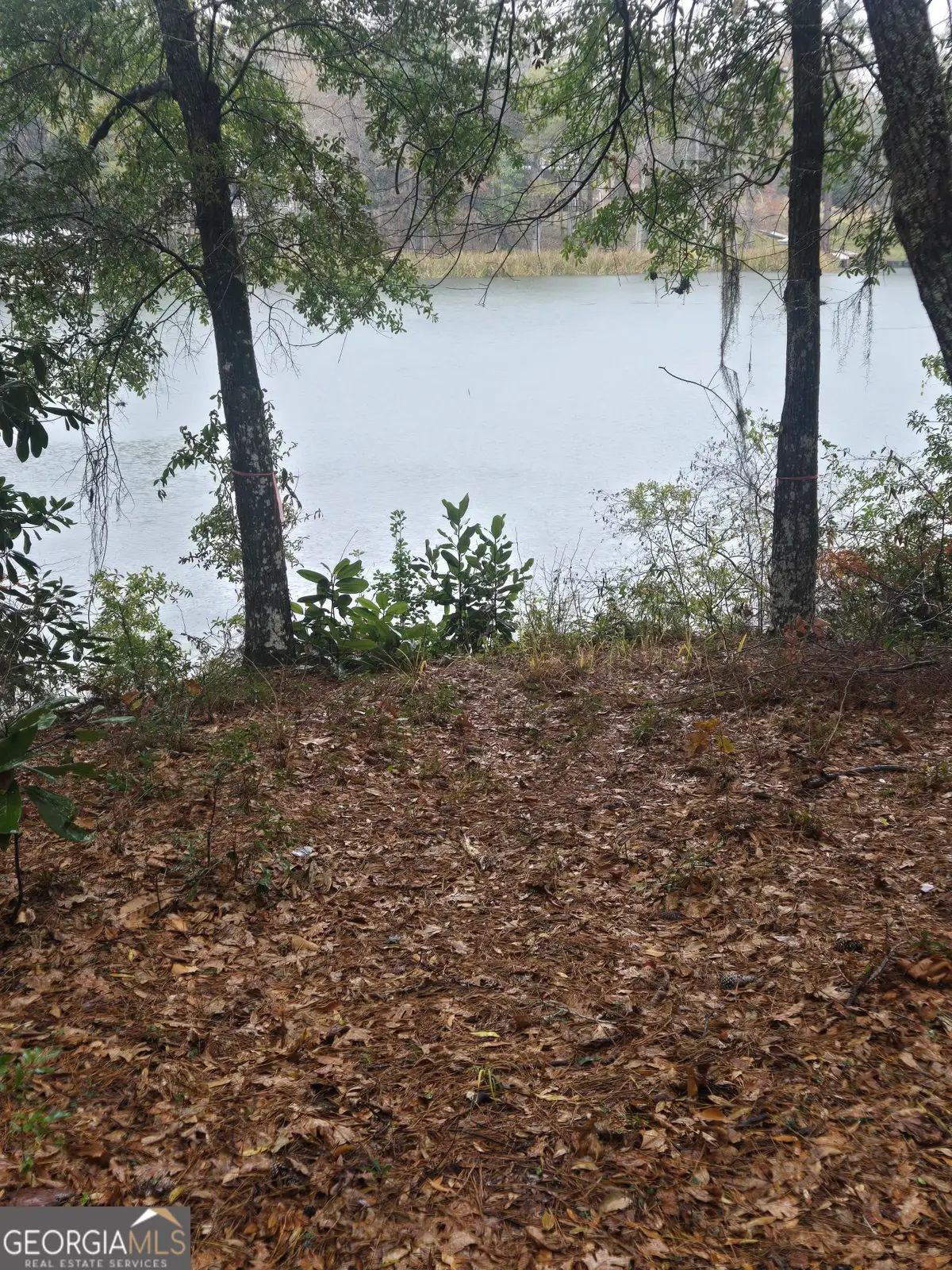 LOT 10 Cotton Cove Drum, Georgetown South, GA 39854 - Image #1