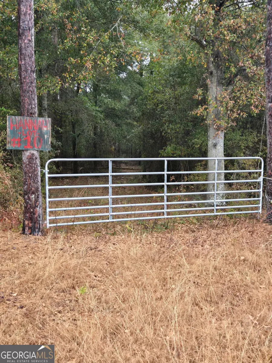 LOT 10 Cotton Cove Drum, Georgetown South, GA 39854 - Image #2
