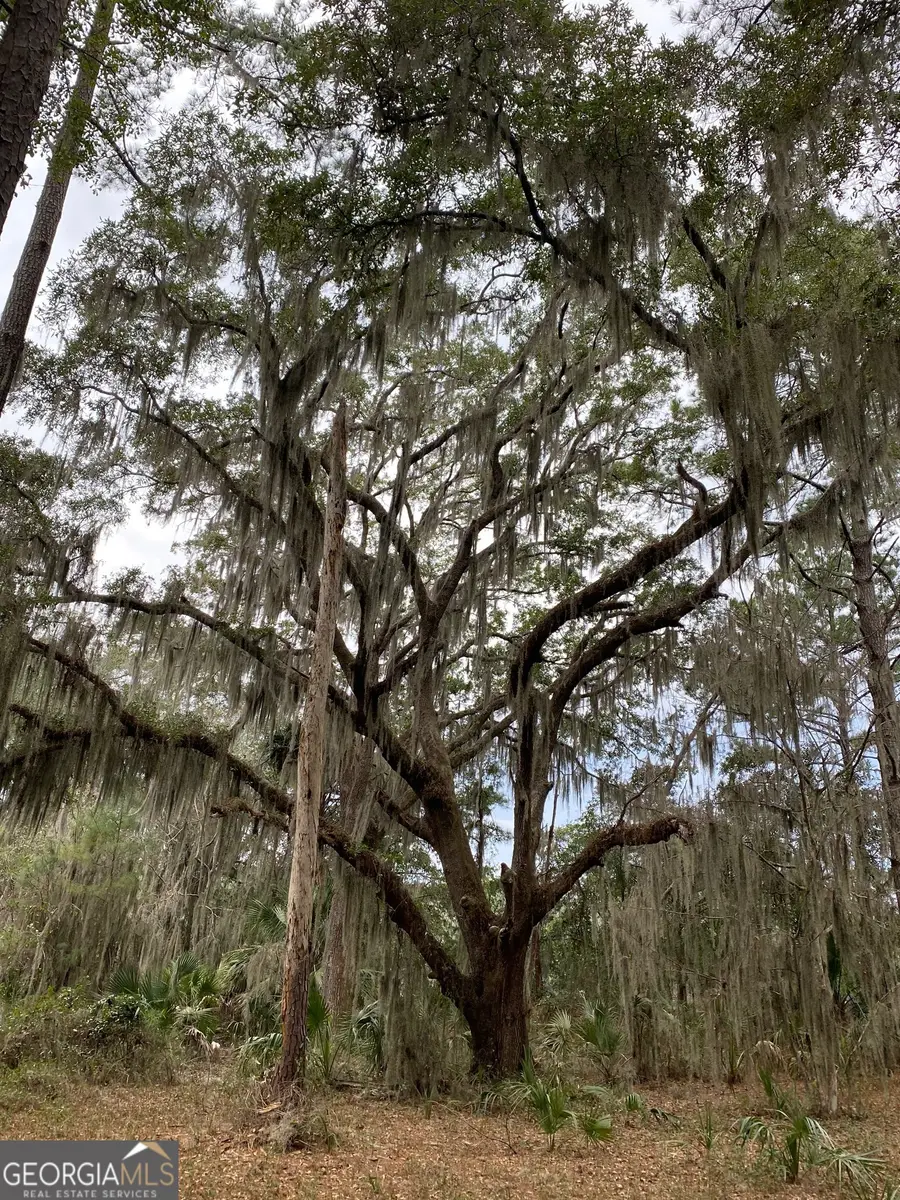 1 Old Cane Mill Drive, Darien, GA 31305 - Image #2