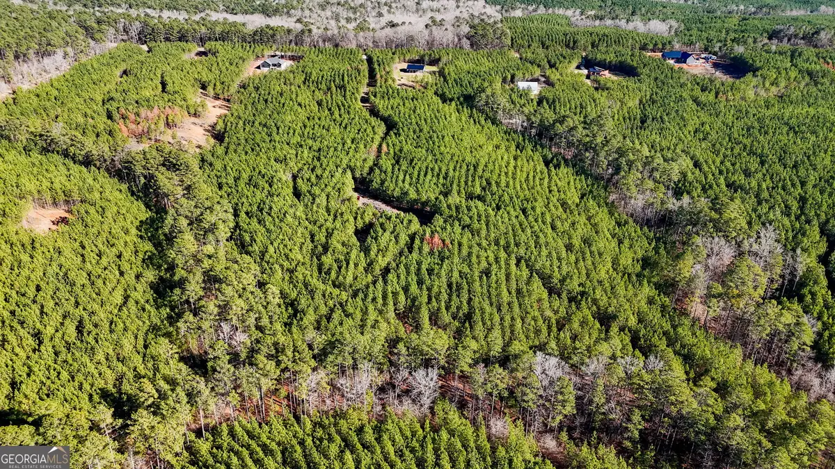 375 Bagley, Forsyth, GA 31029 - Image #1