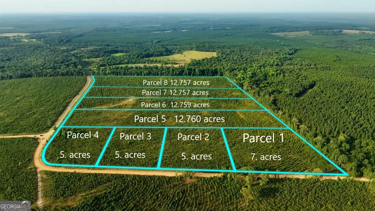 PARCEL 3 Whipporwill Road, Reynolds, GA 31076 - Image #1