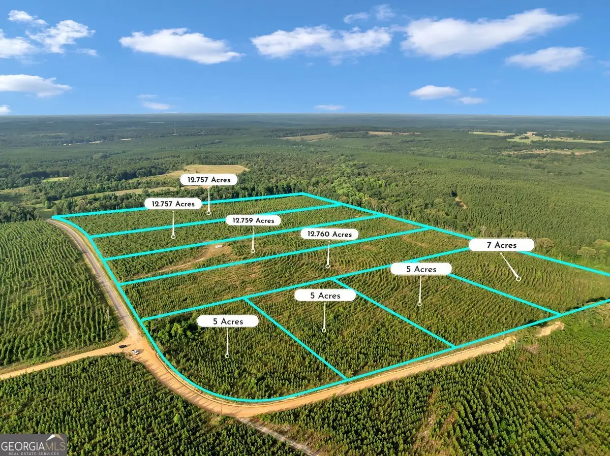 PARCEL 5 Carl Rodgers Road, Reynolds, GA 31076 - #1