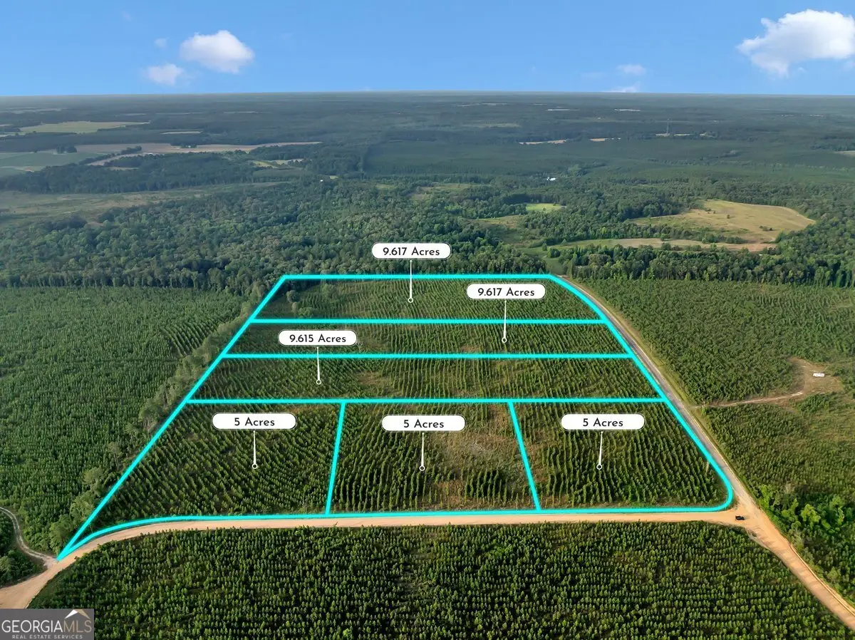 PARCEL 13 Carl Rodgers Road, Reynolds, GA 31076 - Image #1