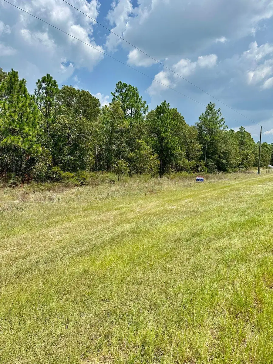 0 Highway 46, Twin City, GA 30471 - Image #2