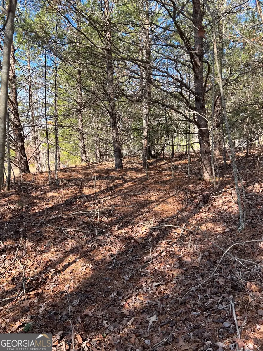 13 Gladys Lane, Young Harris, GA 30582 - Image #2