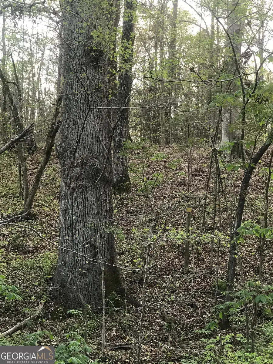 0 Jordan Road, Monticello, GA 31064 - Image #3